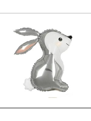 ЛЕСНОЙ ЗАЯЦ  34